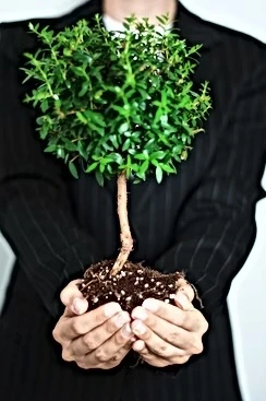 Figure professionali Tessitori di Idee – crescita sostenibile e responsabilità condivisa